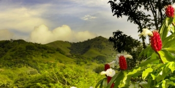 Incontournables jungles du Costa Rica