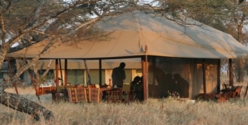 Tanzanie safari experience