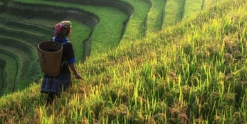 Vietnam, sur la route du Tonkin