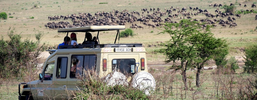 Safari Karibuni Ndefu (en privé)