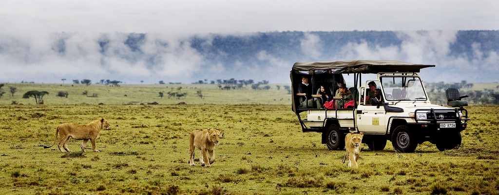 Safaris en Afrique