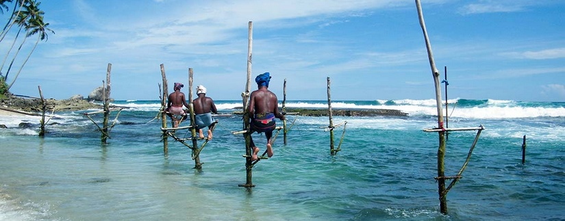 Circuit Premier regard et plages du Sri Lanka