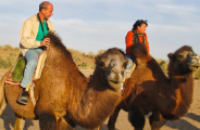 Coupoles et déserts d'Ouzbékistan
