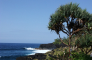 Regard sur l'Île de la Réunion