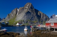 Fjords et baleines de Norvège
