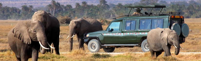 Safari privé Swala Duma Tanzanie