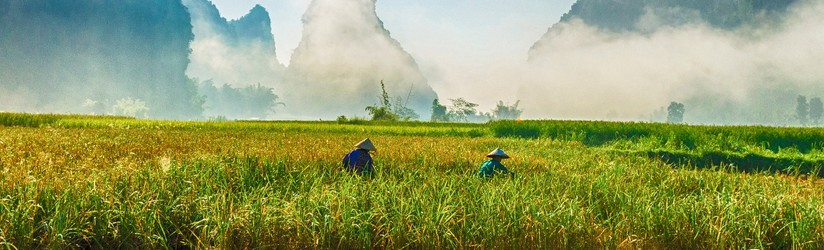 Incontournable Vietnam
